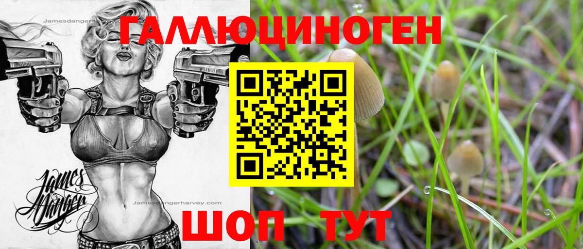 Псилоцибиновые грибы прущие грибы Зеленокумск